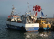 Fischerboote im Breeger Hafen